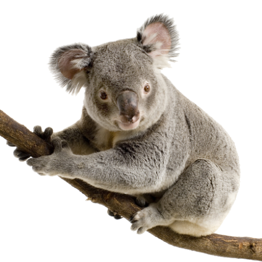 Imagen de Crohn y Colitis Ulcerosa